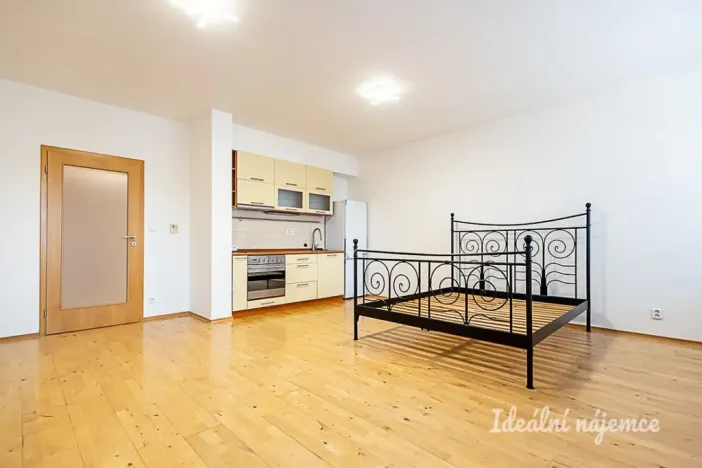 Pronájem bytu 1+kk, Praha - Žižkov, V zahrádkách, 38 m2