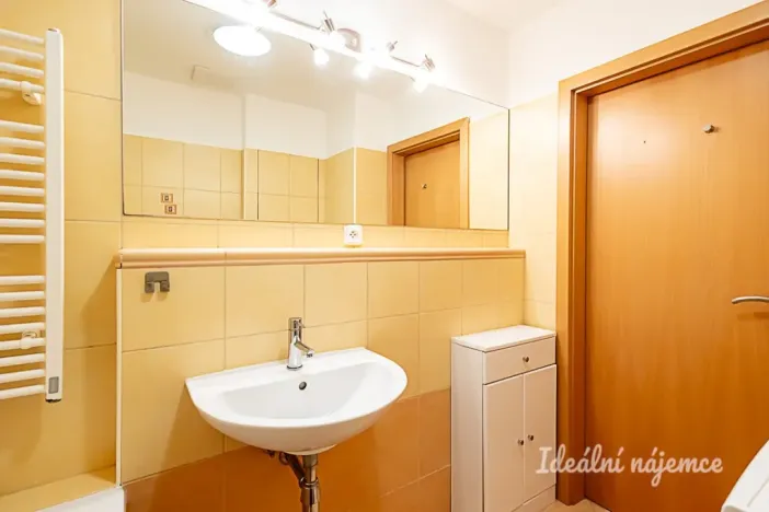 Pronájem bytu 1+kk, Praha - Žižkov, V zahrádkách, 38 m2