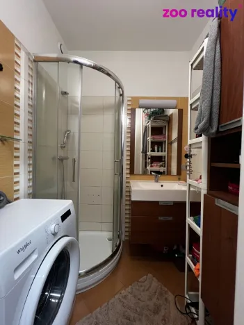 Prodej bytu 2+1, Praha, Boleslavova, 53 m2