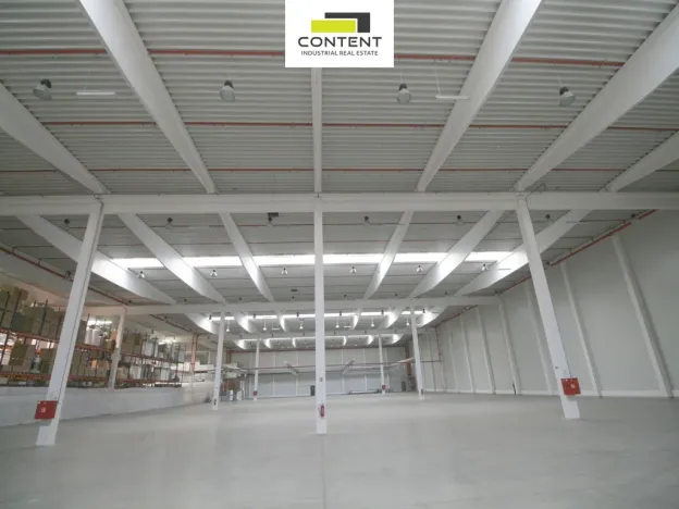 Pronájem výrobních prostor, Myslinka, 29469 m2