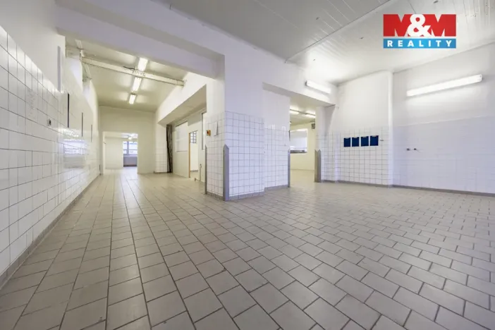 Pronájem skladu, Nymburk, Jičínská, 249 m2
