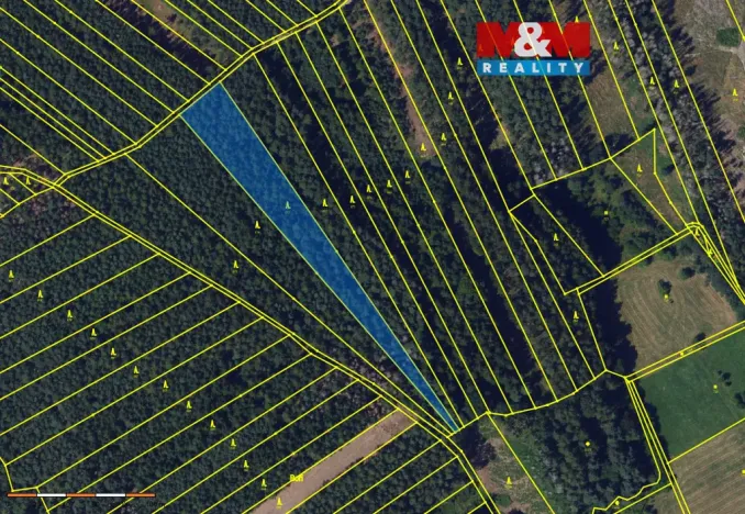 Prodej lesa, Vanovice, 5370 m2