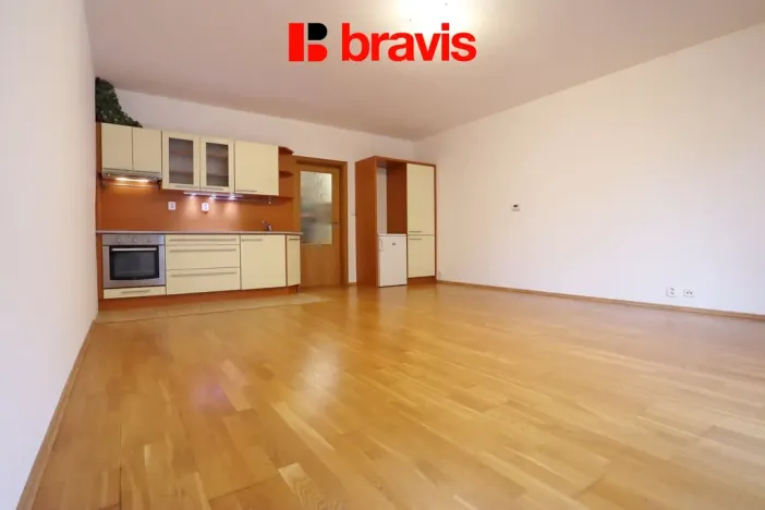 Pronájem bytu 1+kk, Brno - Staré Brno, Úvoz, 47 m2