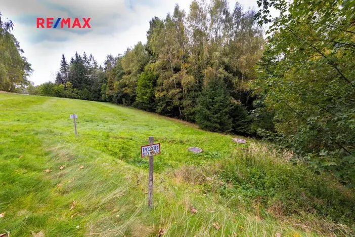 Prodej pozemku pro bydlení, Orličky, 61702 m2