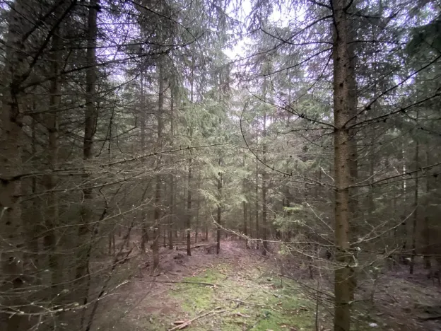 Prodej lesa, Městečko Trnávka - Lázy, 32904 m2