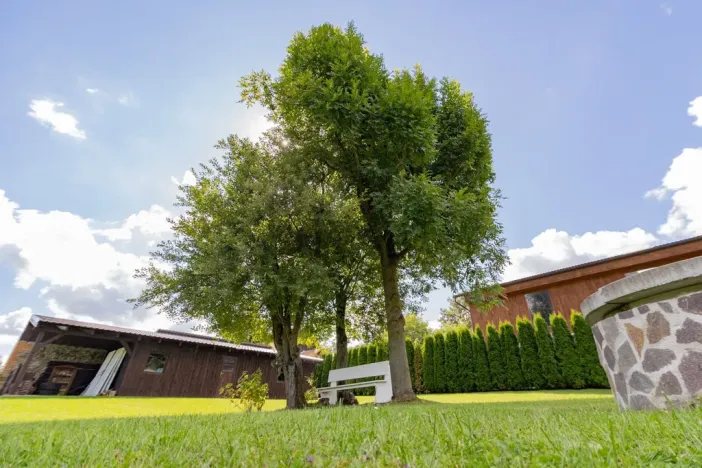 Prodej bytu 2+kk, Petrovice u Sušice - Jiřičná, 53 m2