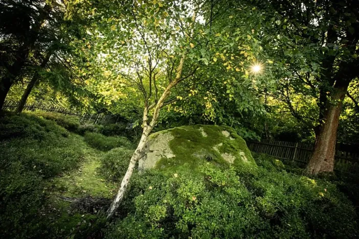 Pronájem bytu 1+1, Děčín, Žlebská, 50 m2