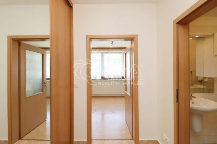 Pronájem bytu 1+kk, Praha, 42 m2