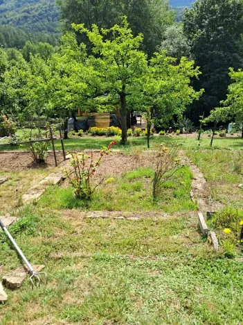 Prodej - jiné, Desná, Sokolská, 18 m2