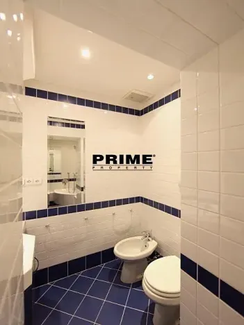 Pronájem bytu 2+1, Praha - Vinohrady, Anny Letenské, 54 m2