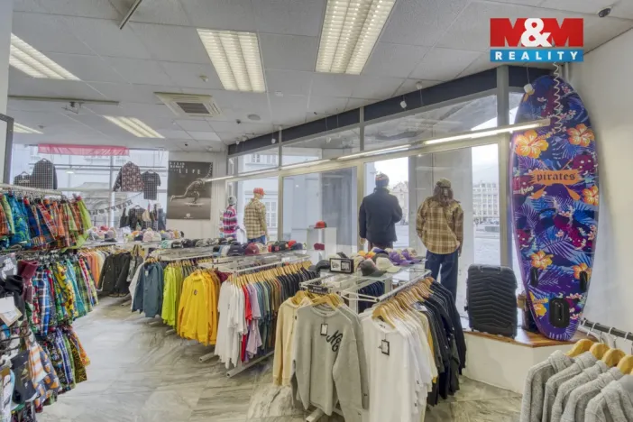 Pronájem obchodního prostoru, Plzeň - Vnitřní Město, Zbrojnická, 598 m2