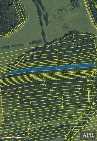 Prodej lesa, Hradčovice, 4947 m2