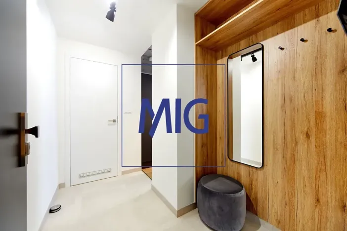 Pronájem bytu 2+kk, Brno, Cejl, 48 m2