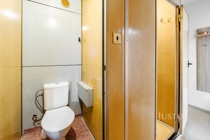 Prodej bytu 1+1, České Budějovice, N. Frýda, 41 m2