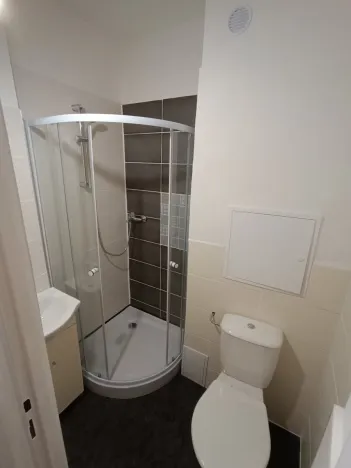 Pronájem bytu 1+kk, Ostrava - Poruba, Aleše Hrdličky, 24 m2