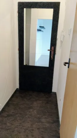 Pronájem bytu 1+kk, Ostrava - Poruba, Aleše Hrdličky, 24 m2