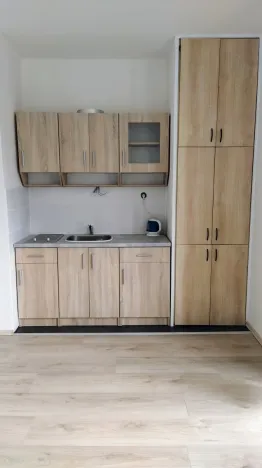 Pronájem bytu 1+kk, Ostrava - Poruba, Aleše Hrdličky, 24 m2