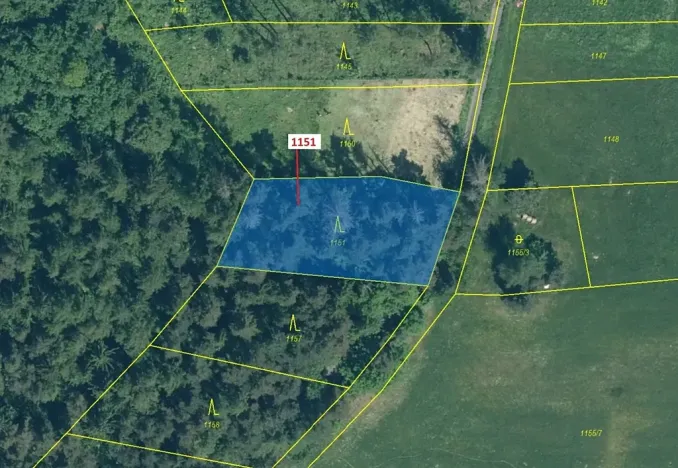 Dražba lesa, Zavlekov, 1331 m2