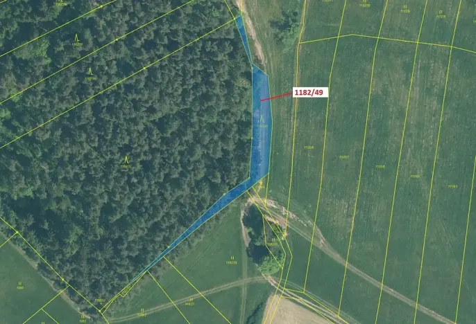 Dražba lesa, Přeborov, 1165 m2