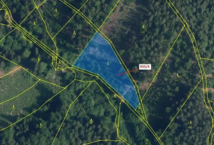 Dražba lesa, Jílové u Držkova, 3532 m2