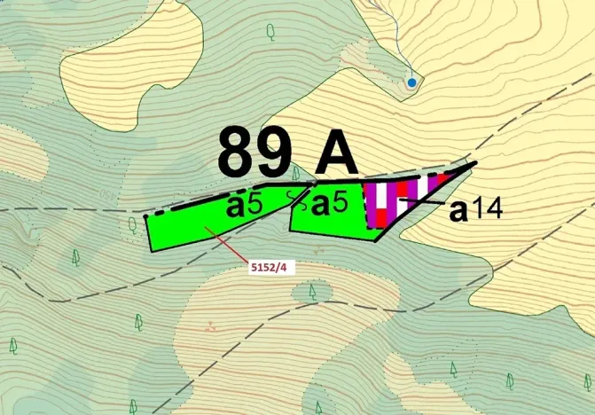 Dražba lesa, Mikulášovice, 3638 m2