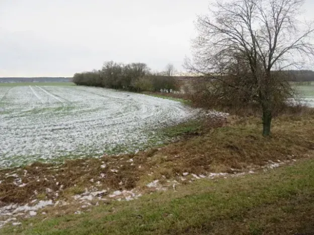 Dražba louky, Chotěšice, 11382 m2