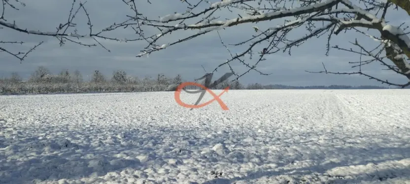 Prodej pozemku pro bydlení, Bělotín, 2600 m2