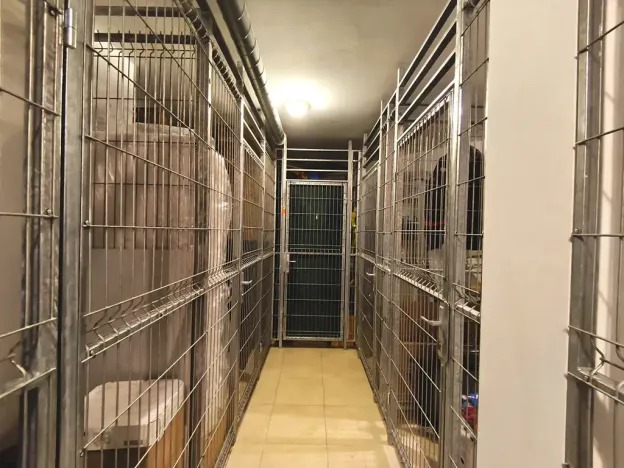 Prodej bytu 3+kk, Brno, Kigginsova, 81 m2