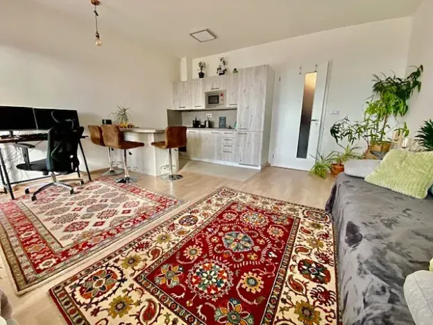 Pronájem bytu 1+kk, Praha - Žižkov, Olgy Havlové, 32 m2