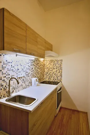 Pronájem bytu 1+kk, Brno, Koliště, 23 m2