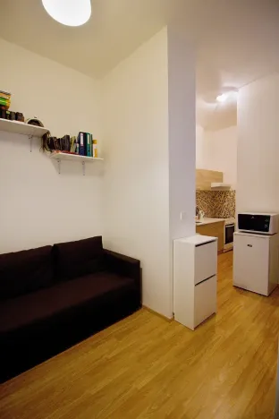 Pronájem bytu 1+kk, Brno, Koliště, 23 m2