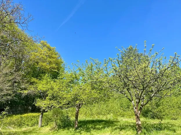 Pronájem rodinného domu, Velký Újezd, Za Obecním lesem, 80 m2