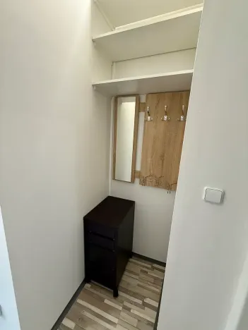 Pronájem bytu 1+kk, Brno, Dukelská třída, 28 m2