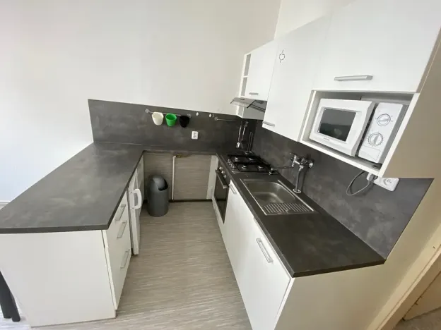 Pronájem bytu 1+1, Plzeň, Alešova, 50 m2