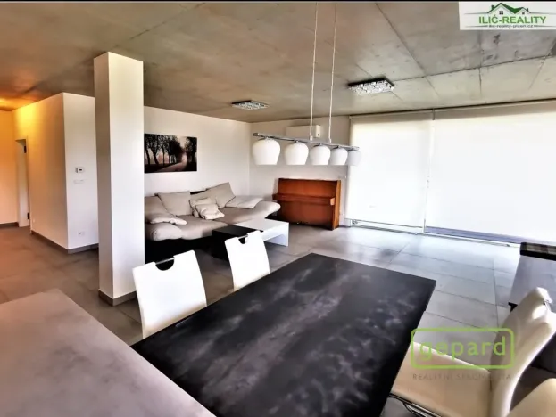 Pronájem bytu 3+kk, Plzeň, Na Roudné, 96 m2