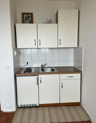 Pronájem bytu 1+kk, Brno - Lesná, Halasovo náměstí, 26 m2