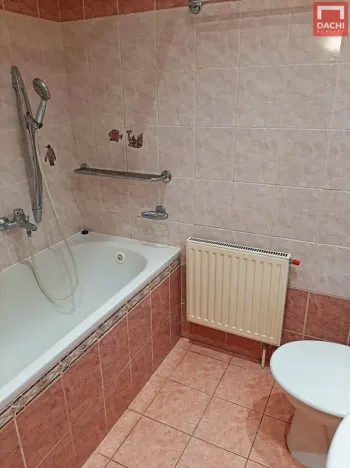 Pronájem bytu 1+1, Olomouc, Na Vozovce, 40 m2