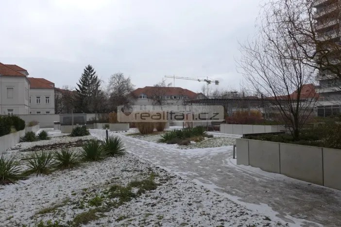 Pronájem bytu 2+kk, Plzeň - Jižní Předměstí, Stehlíkova, 67 m2