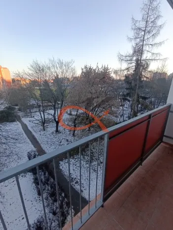 Pronájem bytu 1+1, Olomouc, Heyrovského, 33 m2