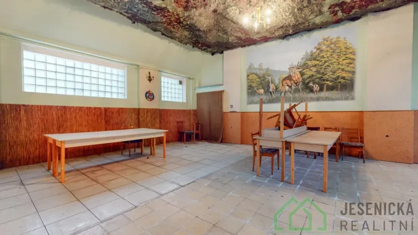 Prodej rodinného domu, Javorník - Bílý Potok, 540 m2