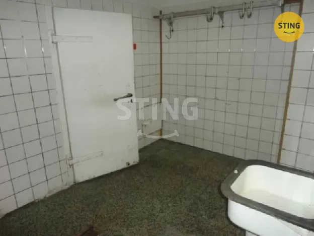 Pronájem skladu, Ostrava, Staroveská, 46 m2