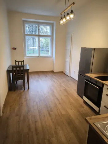 Pronájem bytu 1+1, Praha - Vinohrady, Písecká, 50 m2