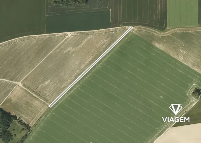 Prodej podílu pole, Dolní Životice, 315 m2