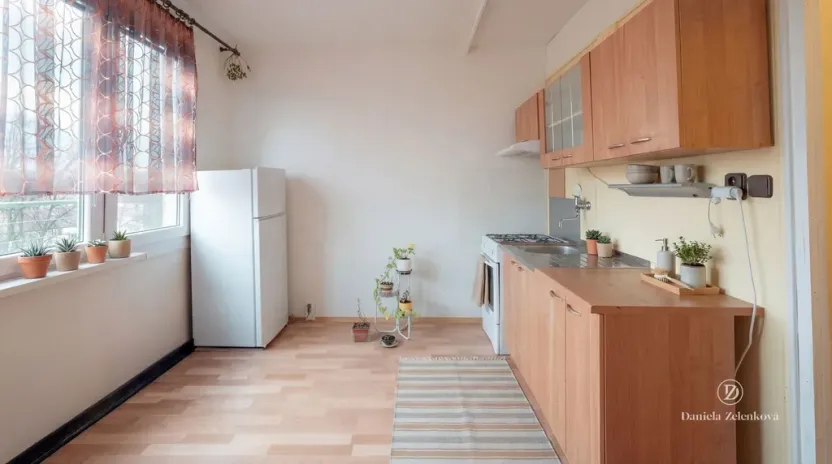 Prodej bytu 1+1, České Budějovice - České Budějovice 3, Plzeňská, 30 m2