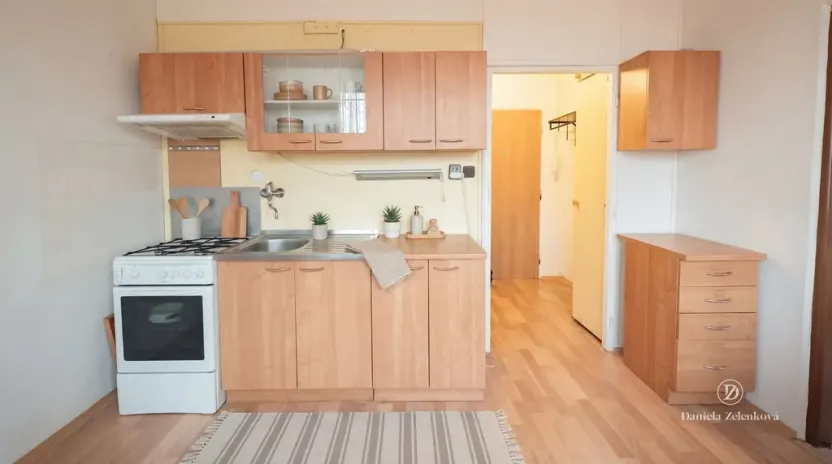 Prodej bytu 1+1, České Budějovice - České Budějovice 3, Plzeňská, 30 m2