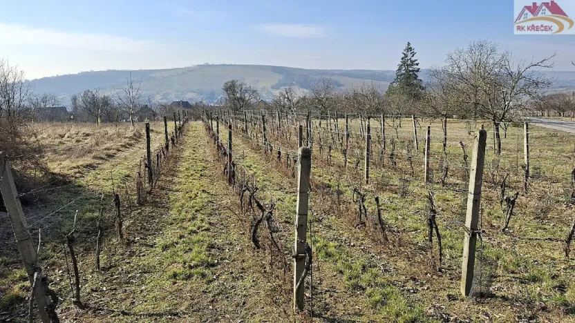 Prodej rodinného domu, Boršice, 280 m2