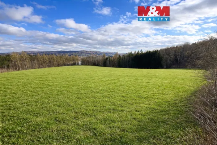 Prodej louky, Šetějovice - Žibřidovice, 541 m2