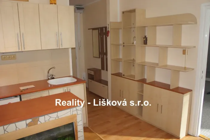 Pronájem bytu 1+1, Ústí nad Labem - Střekov, Tolstého, 36 m2