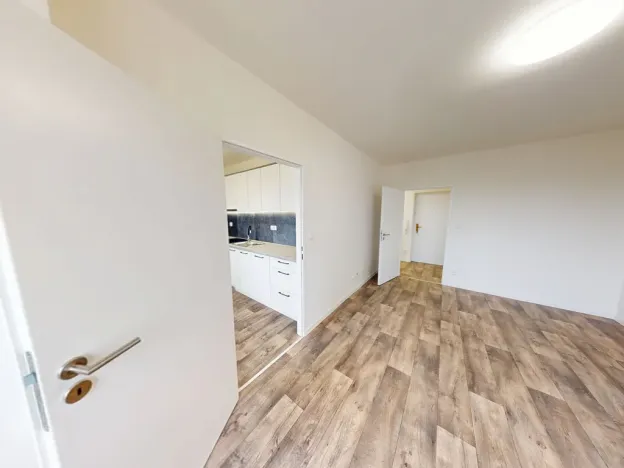 Pronájem bytu 1+1, Ostrava, Gen. Hrušky, 38 m2