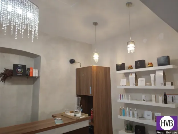 Pronájem komerční nemovitosti, Praha, Petrská, 62 m2